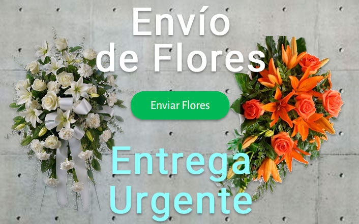 Envio de flores urgente a Tanatorio Sabadell